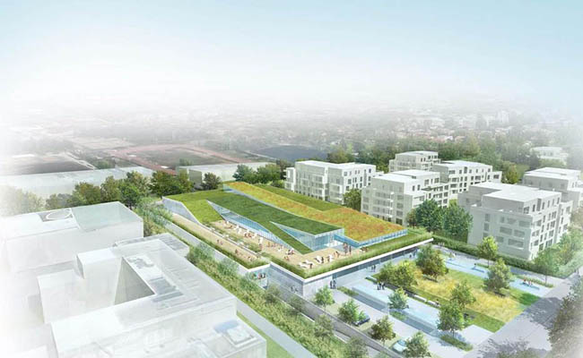 Piscine 650